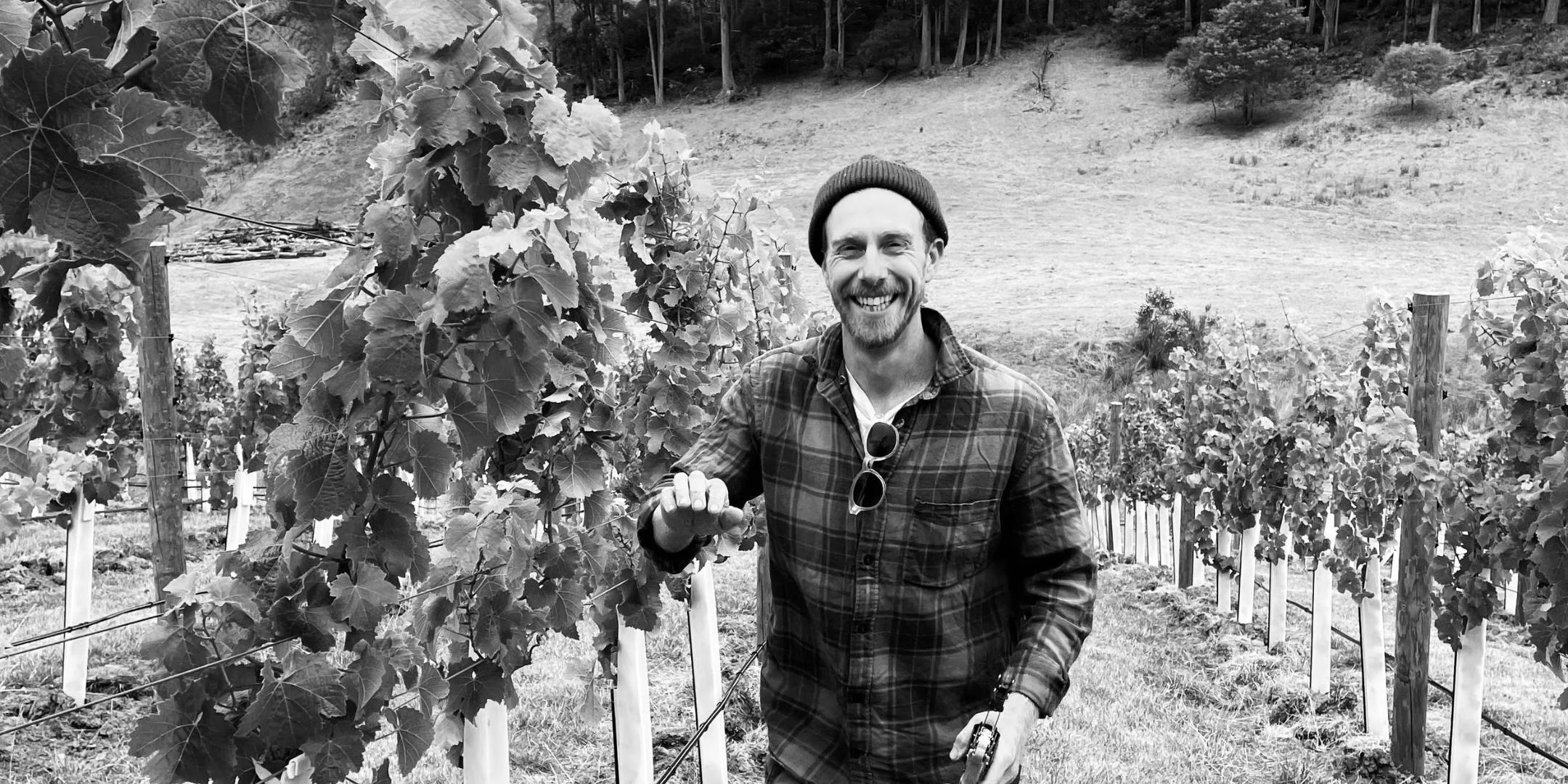 Image of L'appel Wines