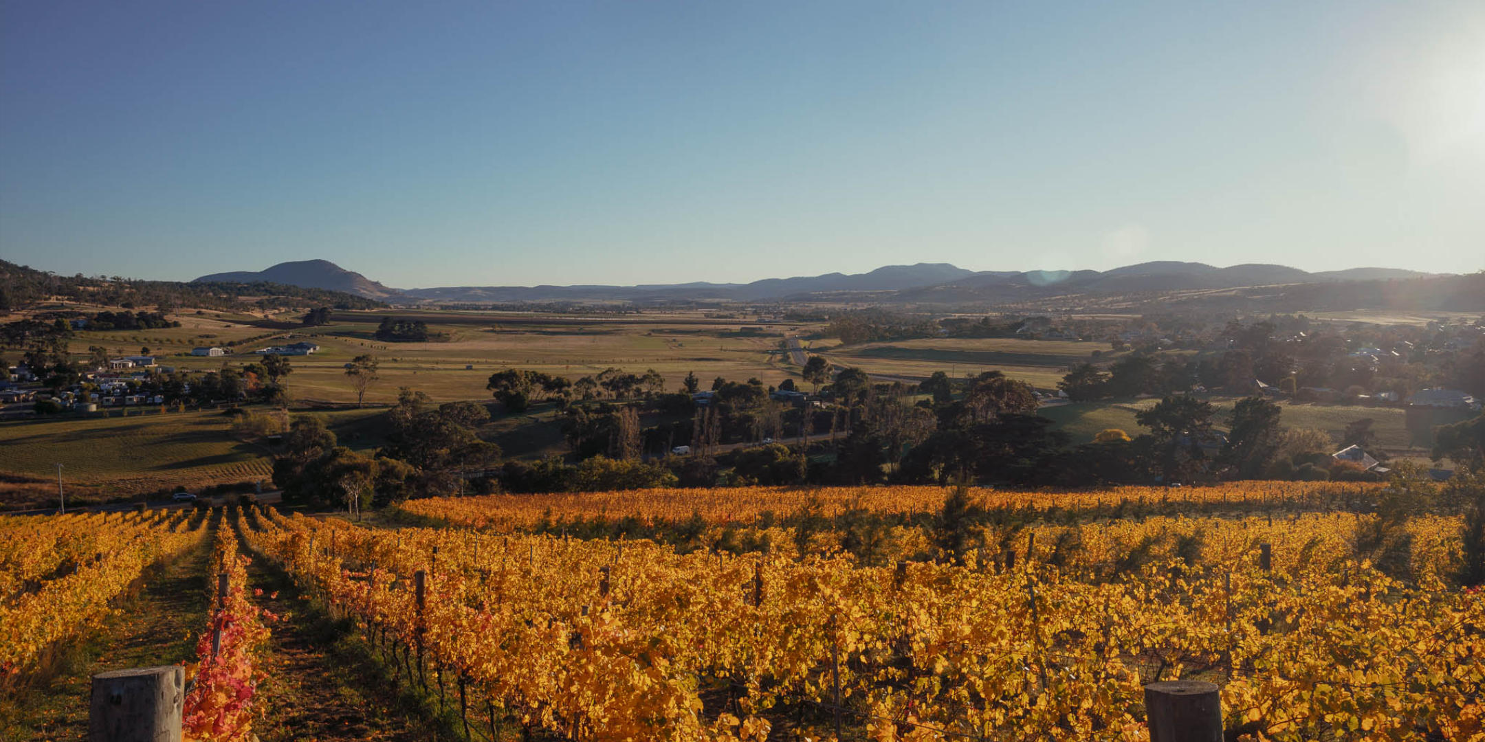 Image of Pooley Wines